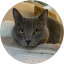 michiko iwano profile picture